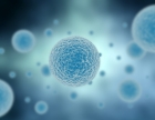 Cyborg Cells jsou hybridi mezi přírodní a syntetickou buňkou
