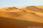 Z extrémní pouště Atacama se stal genetický zlatý důl