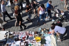 GMO a sociální otázky v Indii