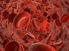 Křemičité nanobrnění červených krvinek umožňuje xenotransfuze
