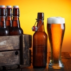 Zdravější pivo? Vědci poprvé upravili chmel technologií CRISPR