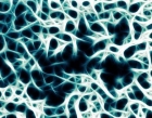 Nový nanomateriál léčí kožní infekce