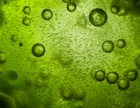 Buněčné váčky spiruliny pomohou s vývojem účinných vakcín