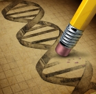 Ultrakompaktní editor NanoCas edituje DNA po přenosu jedinou částicí viru AAV