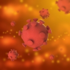 Nanohroty účinně likvidují virus parainfluenzy